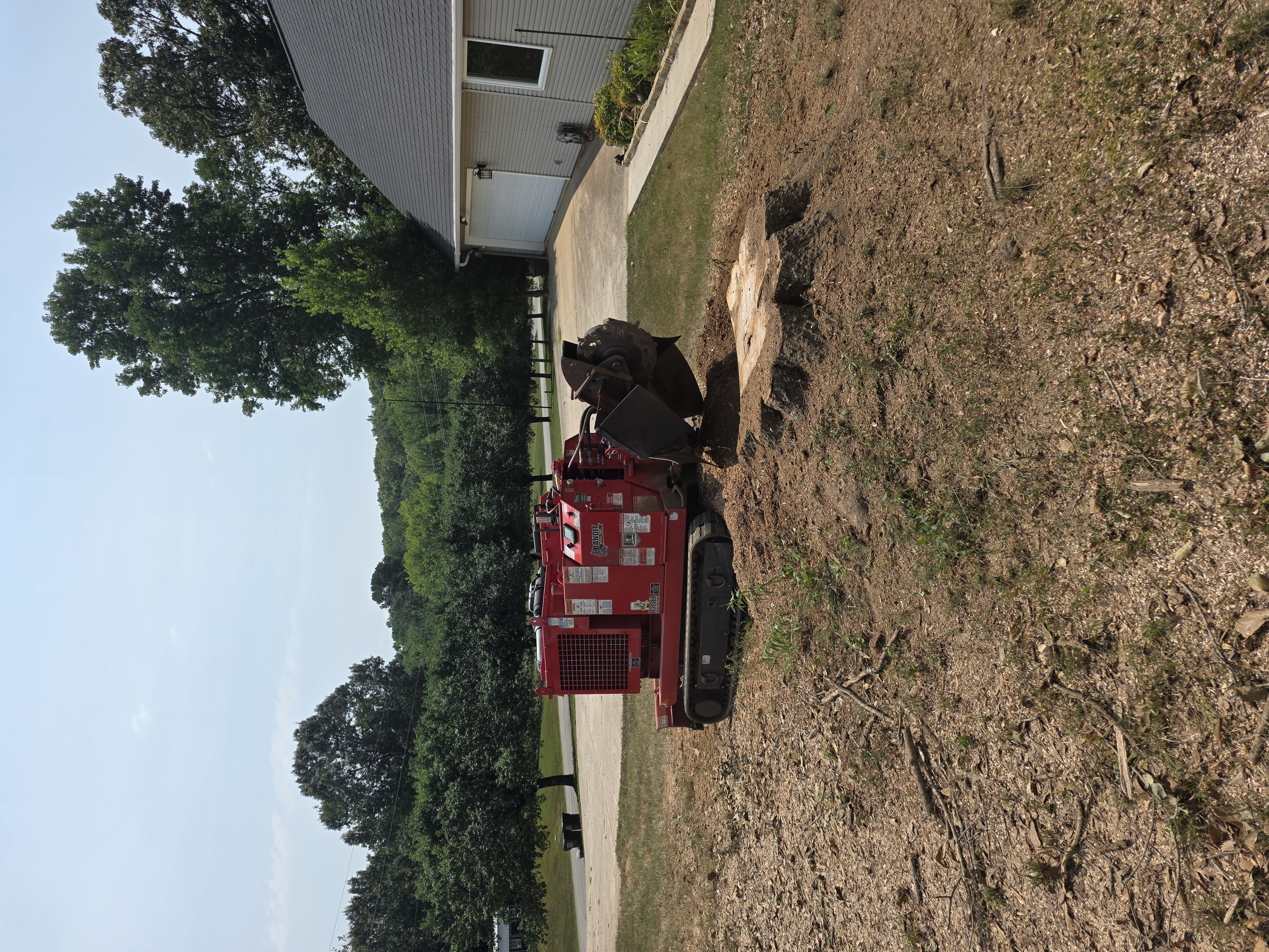 Isolated Stumps featured stump grinding project 1