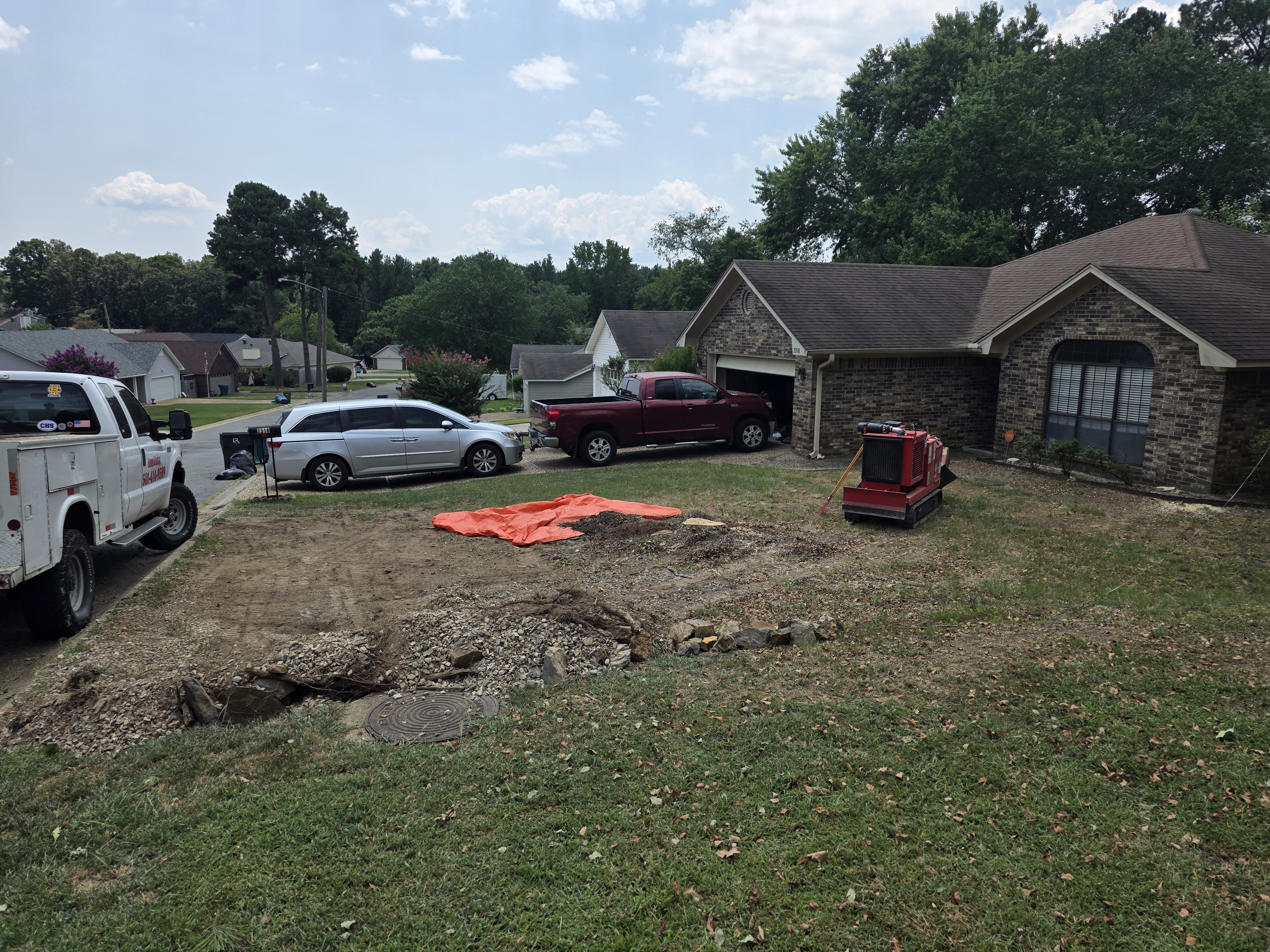 Isolated Stumps featured stump grinding project 3