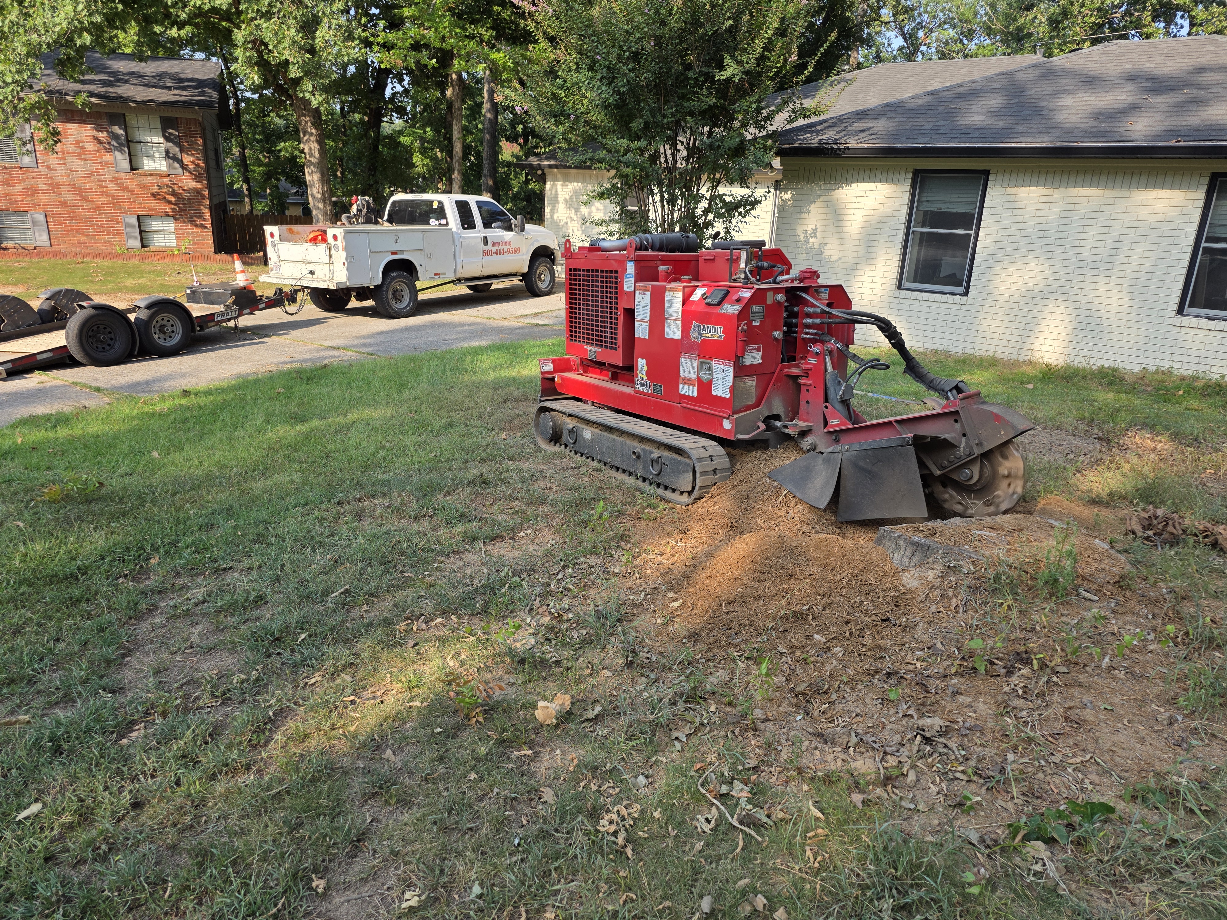 Isolated Stumps featured stump grinding project 6
