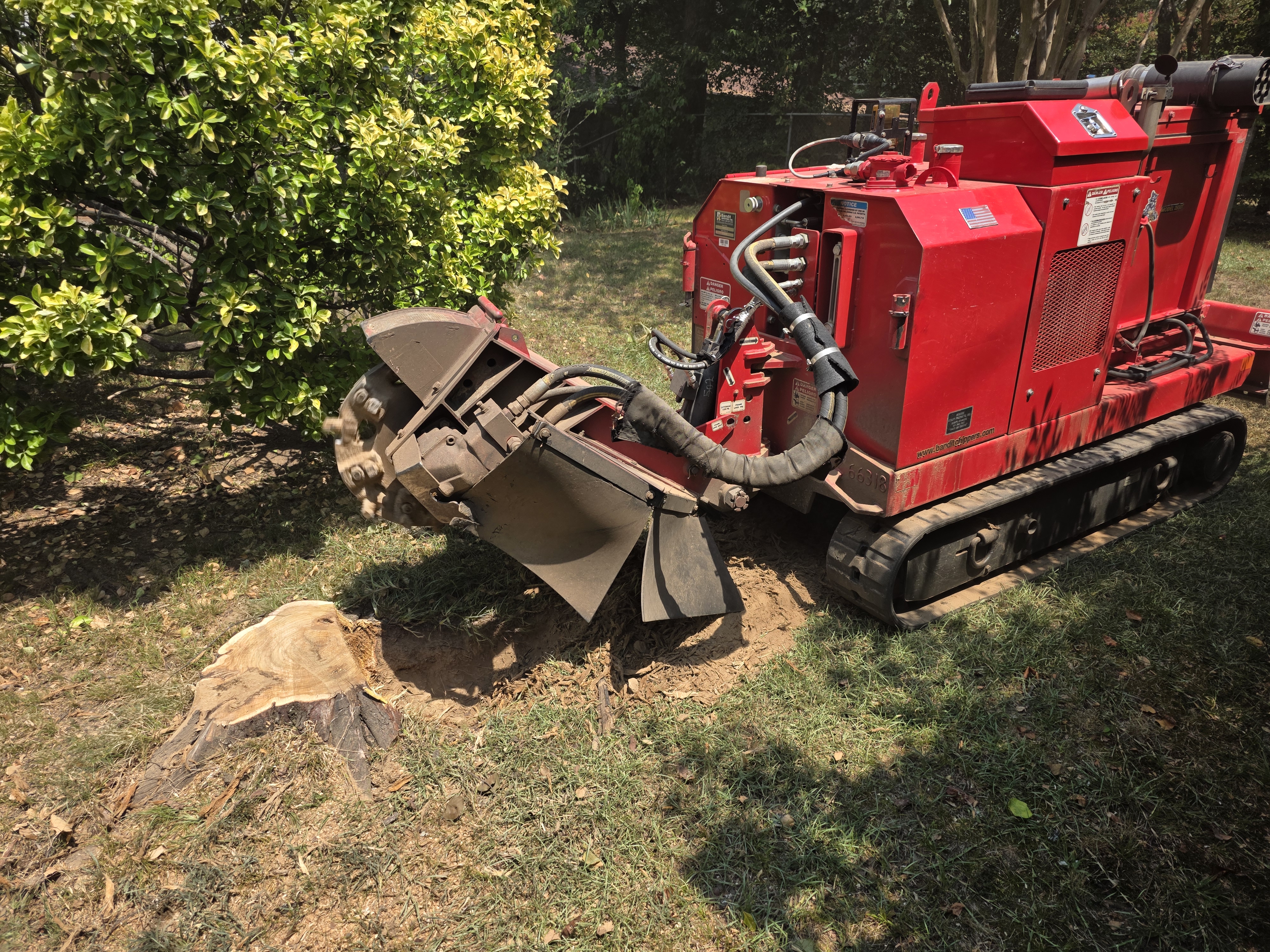 Isolated Stumps featured stump grinding project 8