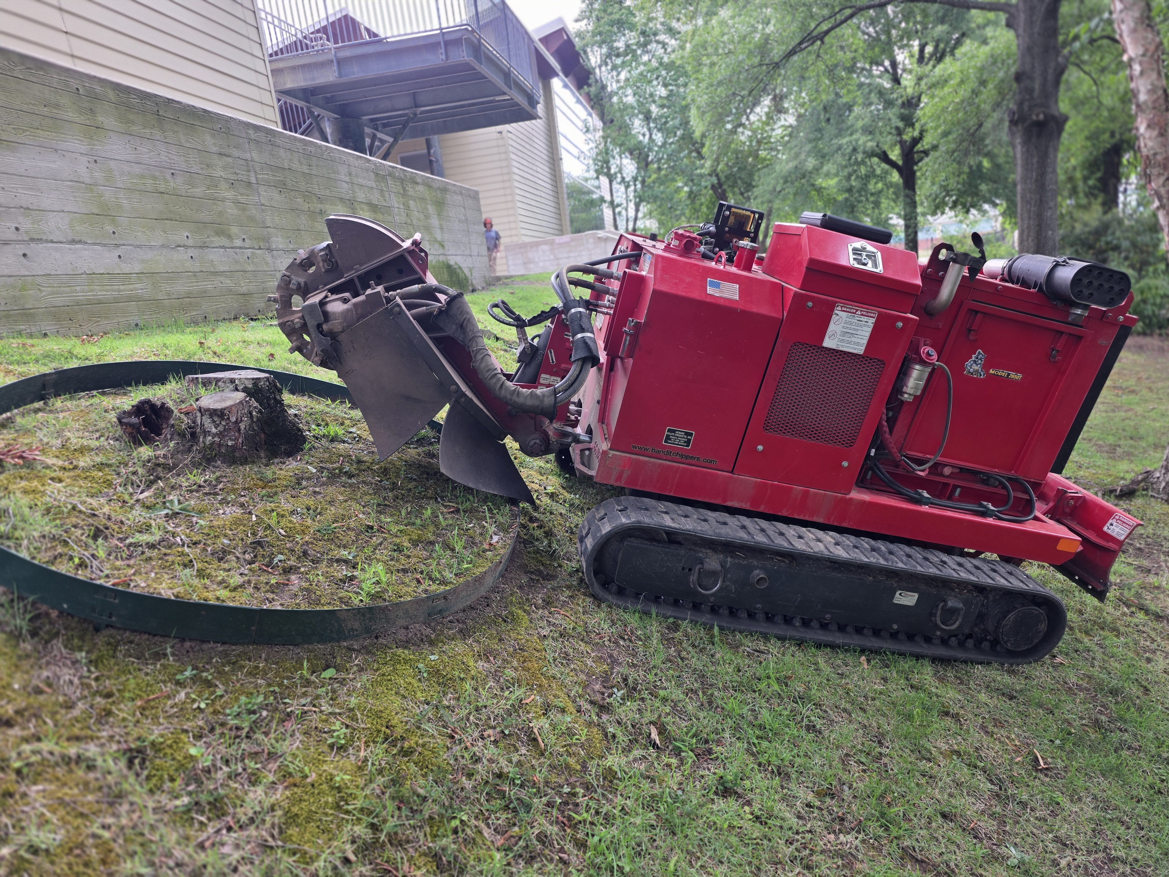 Isolated Stumps featured stump grinding project 10