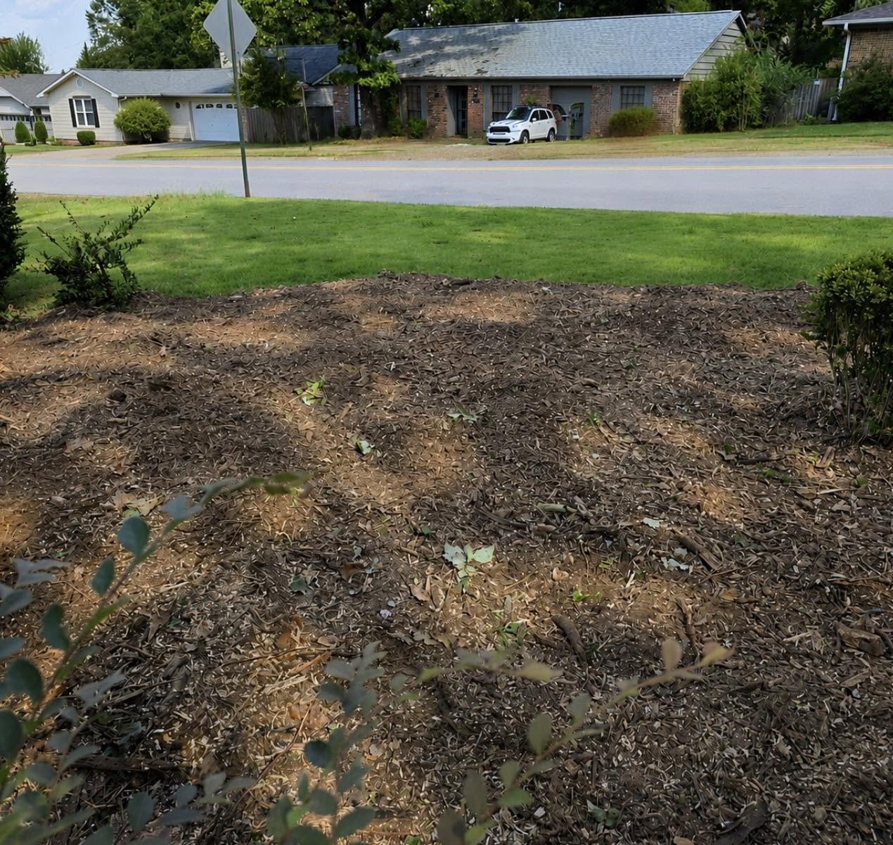 Residential stump grinding project