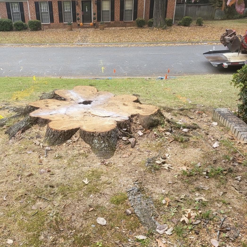 Stump grinding equipment at work