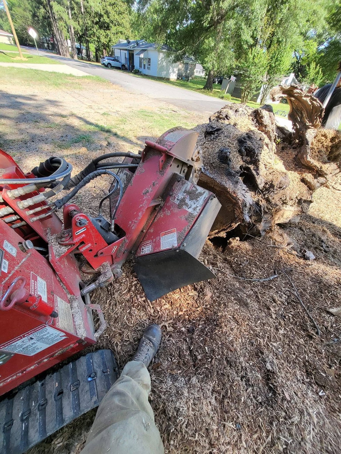 Residential stump grinding project