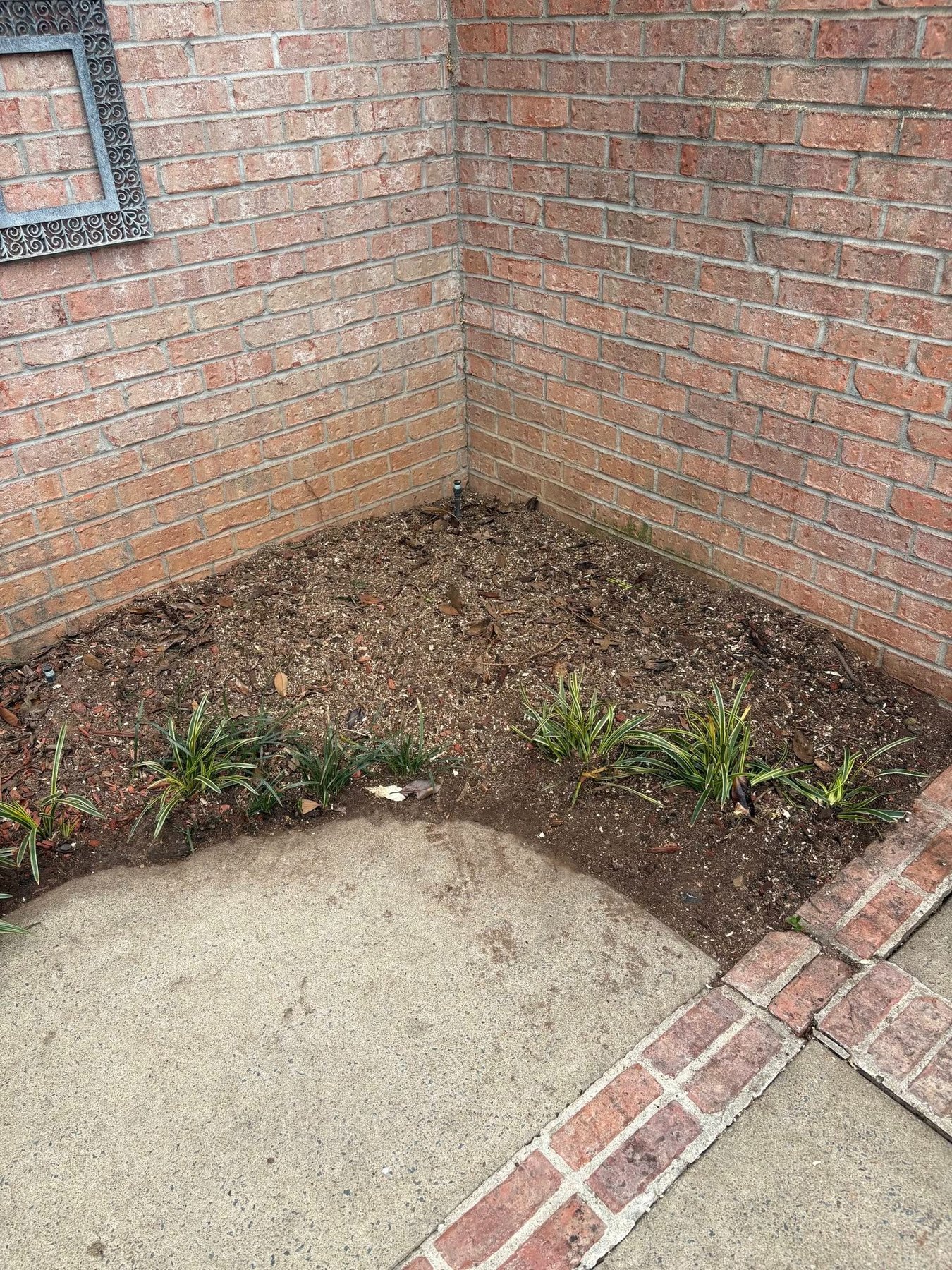 Residential stump grinding project