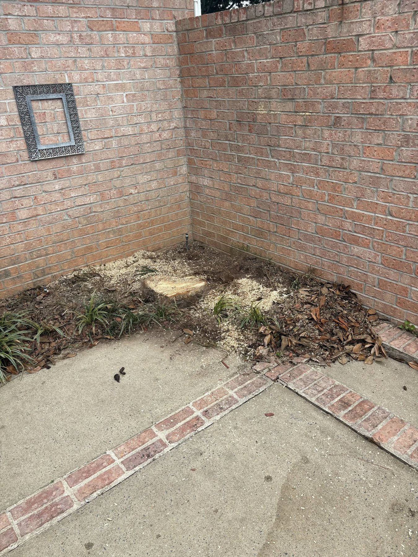 Residential stump grinding project