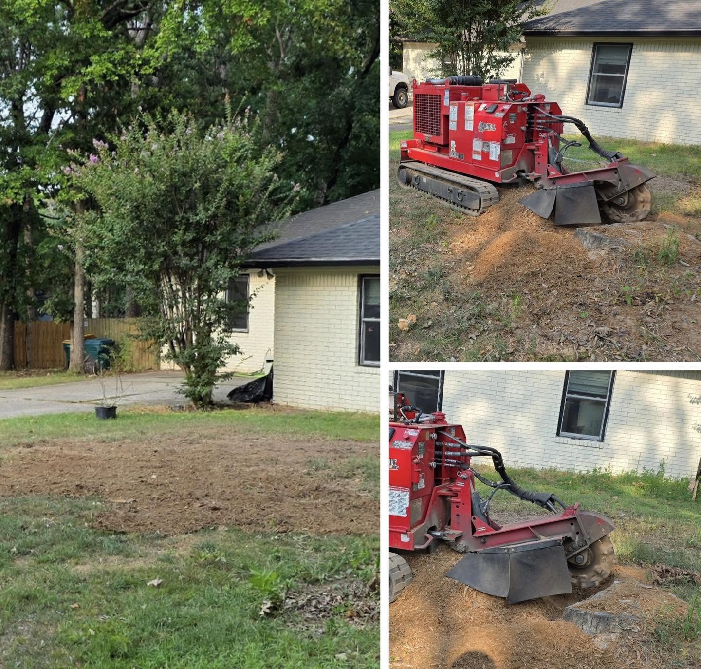 Residential stump grinding project