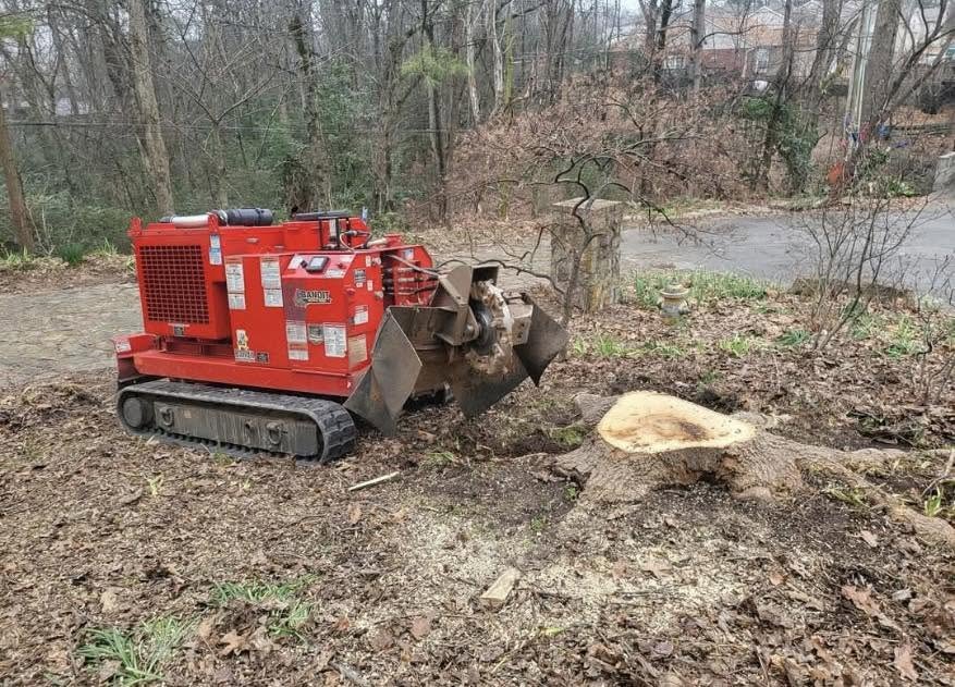 Residential stump grinding project
