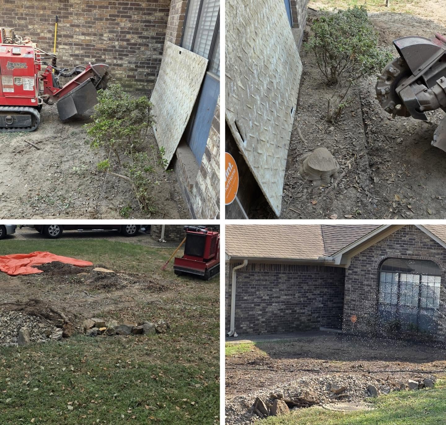 Finished yard after stump work